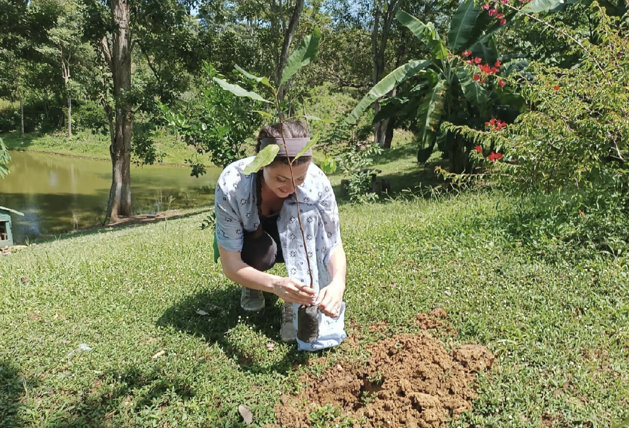 Planting native trees of the tropical dry forest