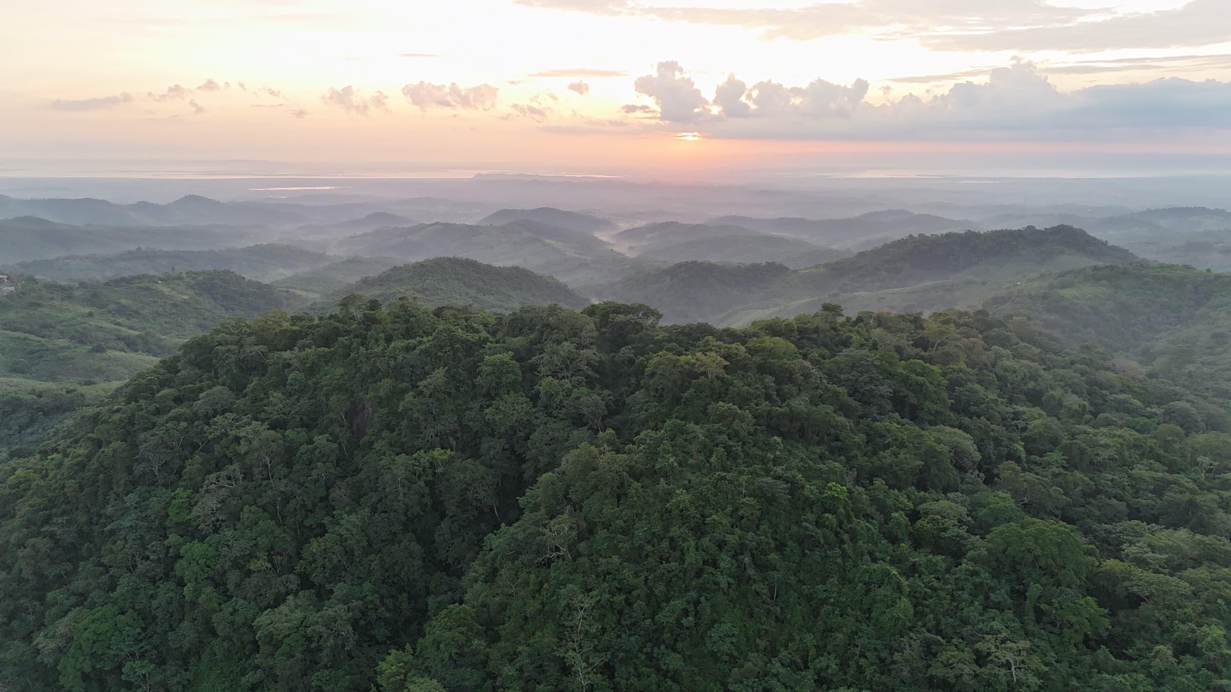 Aerial view of Los Loros tropical dry forest at sunrise, with the Caribbean Sea on the horizon